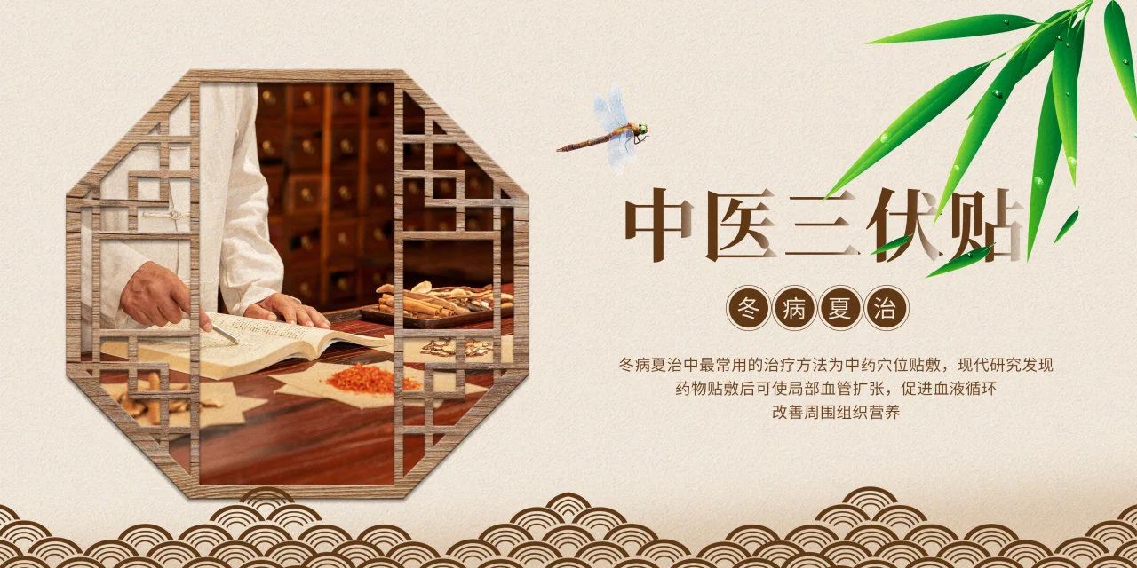 眼睛也需要“三伏贴”?